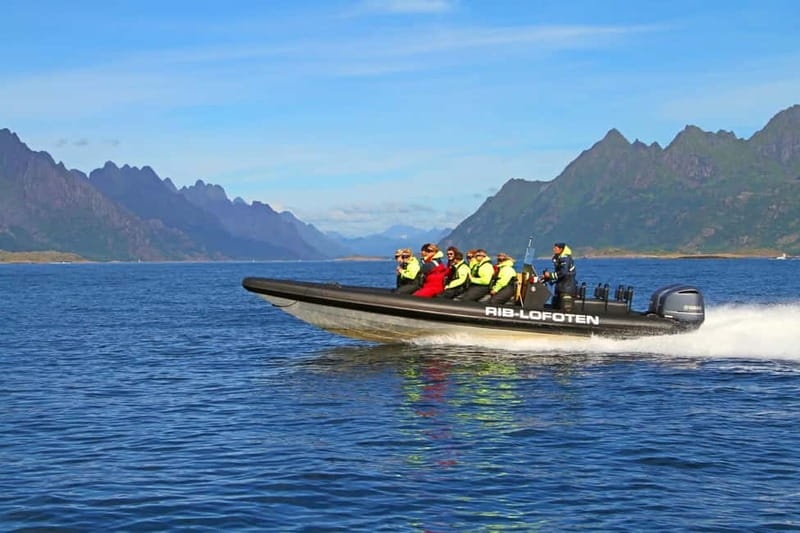 From Svolvær: Lofoten RIB Sea Eagle Safari Trollfjord Cruise - From Svolvær’s square to open water