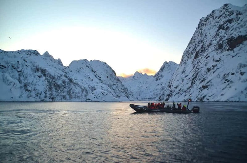 From Svolvær: Lofoten RIB Sea Eagle Safari Trollfjord Cruise - Who should book this sea safari?