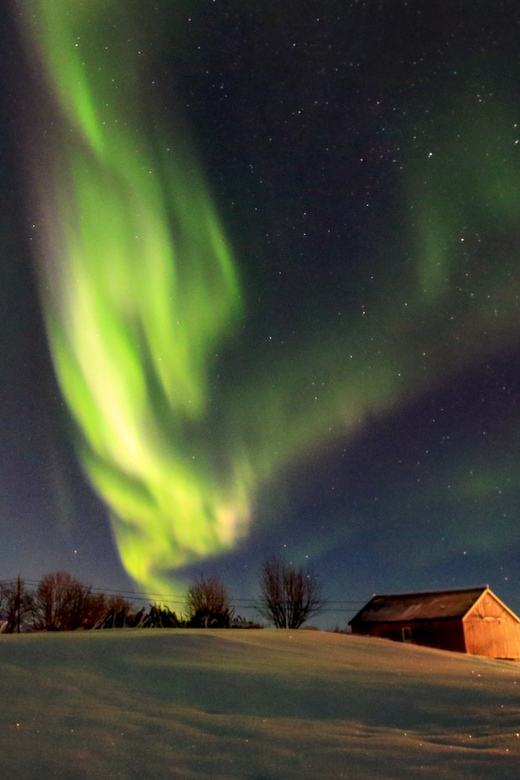 From Svolvaer: Private Northern Lights Search Trip - Why a private group changes the evening