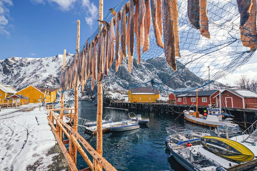 From Svolvær: Reine & Å Lofoten West Island Full Day Tour - Reine, where the fishing village meets the peaks