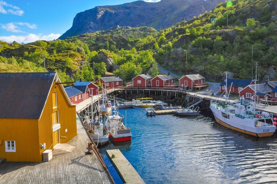 From Svolvær: Reine & Å Lofoten West Island Full Day Tour - Is $294 a fair price?