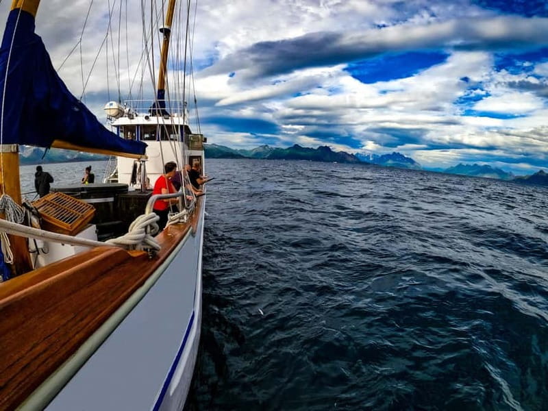 From Svolvær: Taste of Lofoten - Cultural Fishing Experience - Key things to know before you book