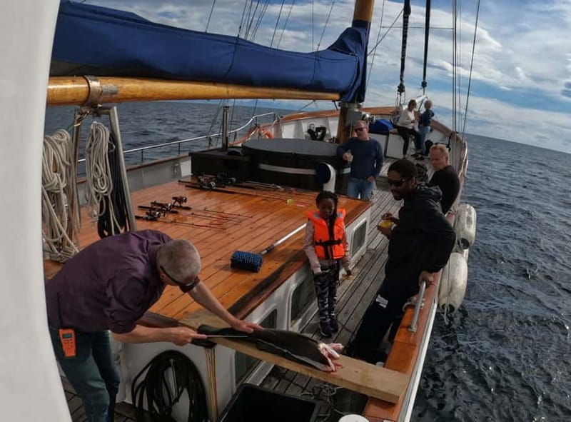 From Svolvær: Taste of Lofoten - Cultural Fishing Experience - Setting out across Vestfjorden