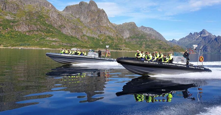 From Svolvaer: Trollfjorden Wildlife RIB Cruise - Key points to know before you go