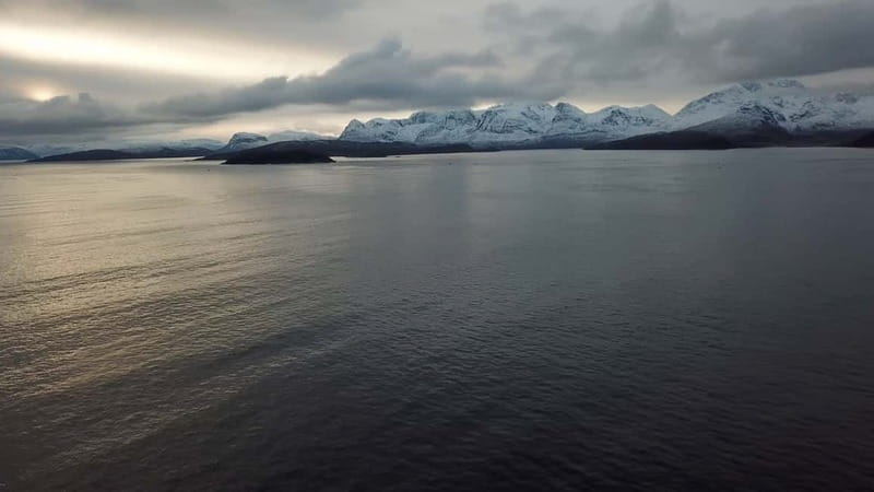 From Tromsø: All-Inclusive Whale & Orca Safari - The return to Tromsø can test your patience