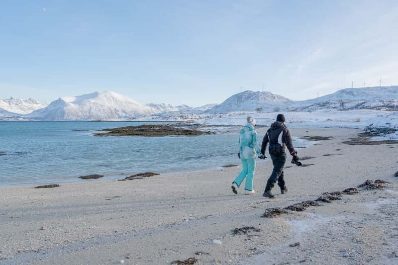 From Tromsø: Arctic Roadtrip: fjords tour with scenic picnic - Wildlife, villages, and the value of a local guide