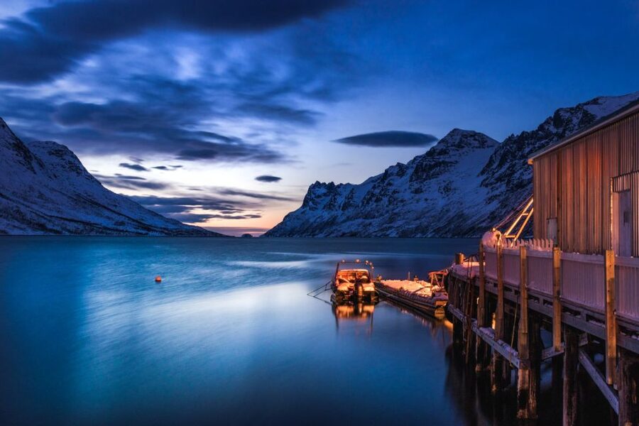 From Tromsø: Arctic Wildlife & Fjord Sightseeing Tour by Car - Ersfjordbotn and Kattfjorden