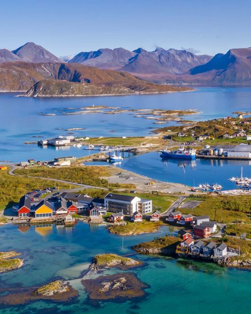 From Tromsø: Arctic Wildlife & Fjord Sightseeing Tour by Car - Local stories make the drive worthwhile