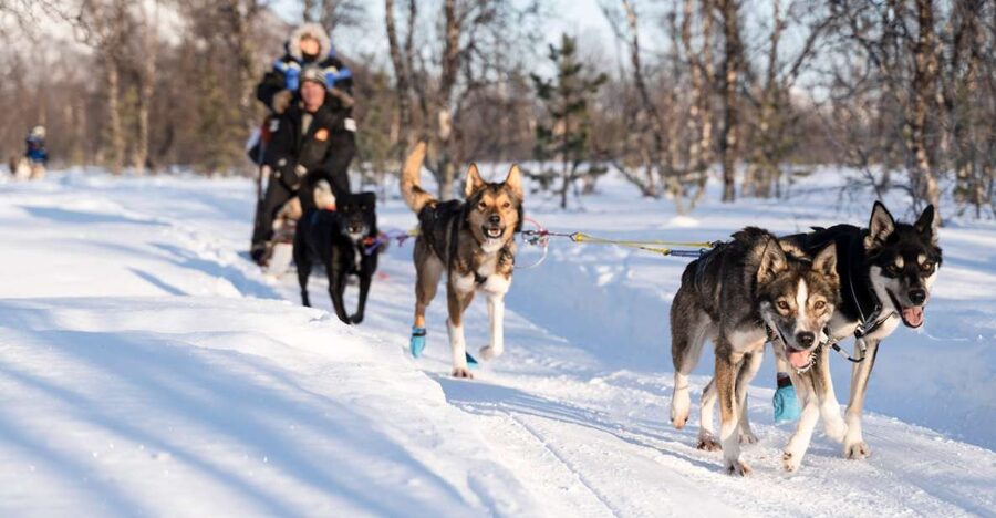 From Tromsø: Fun and Easy Dog Sledding Adventure - Getting dressed for an Arctic dog ride