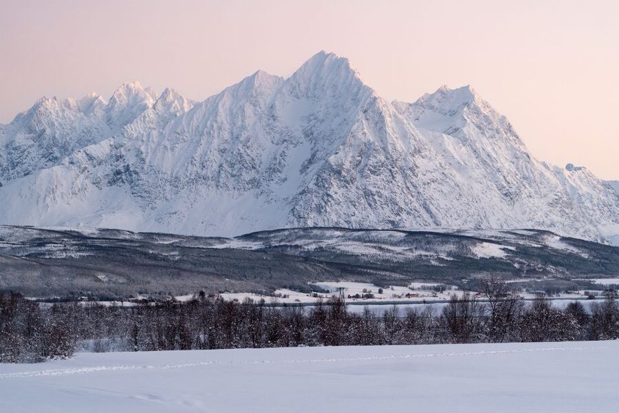 From Tromsø: Fun and Easy Dog Sledding Adventure - What $282 buys you