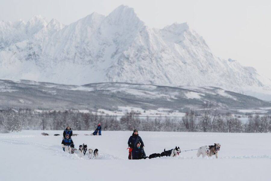 From Tromsø: Fun and Easy Dog Sledding Adventure - Who should choose this activity