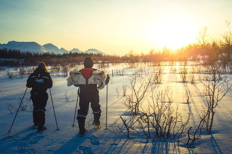 From Tromsø: Guided Husky Snowshoe Hike and Husky Camp Visit - Snowshoes, Poles, and a Route Chosen for the Day