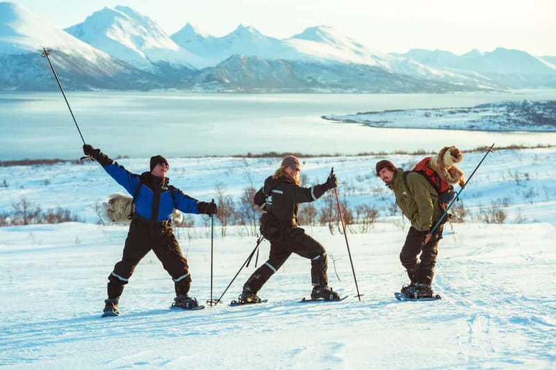 From Tromsø: Guided Husky Snowshoe Hike and Husky Camp Visit - The Guides Make the Difference