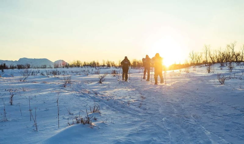 From Tromsø: Guided Husky Snowshoe Hike and Husky Camp Visit - What to Bring and Who Should Think Twice