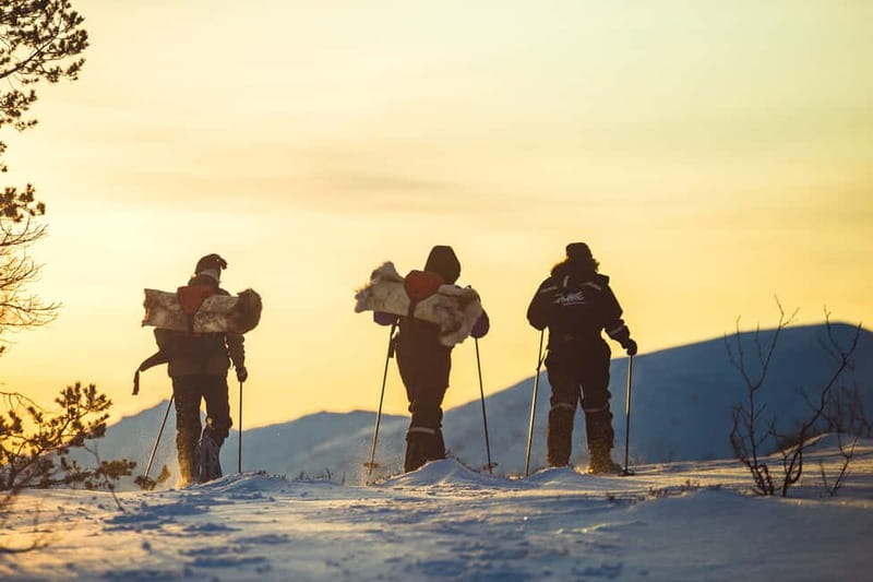 From Tromsø: Guided Husky Snowshoe Hike and Husky Camp Visit - Should You Book the Husky Snowshoe Hike?