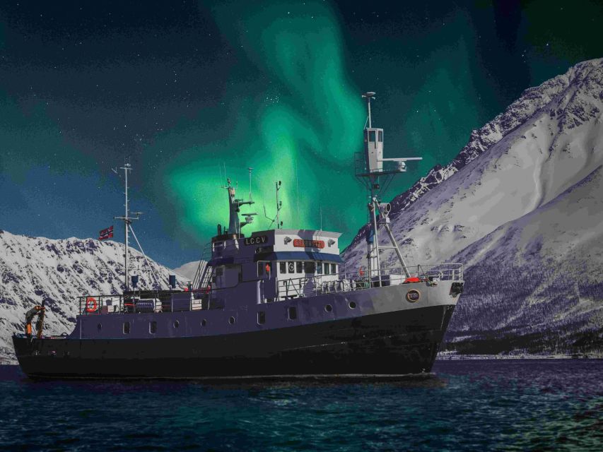 From Tromsø: Northern Lights Cruise on a Cozy Vintage Vessel - Starting at Full Steam Museum at 19:00