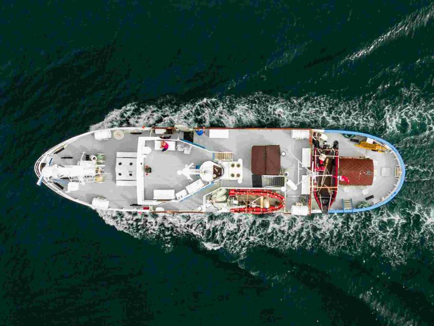 From Tromsø: Northern Lights Cruise on a Cozy Vintage Vessel - Warmth, food, drinks, and the onboard bar