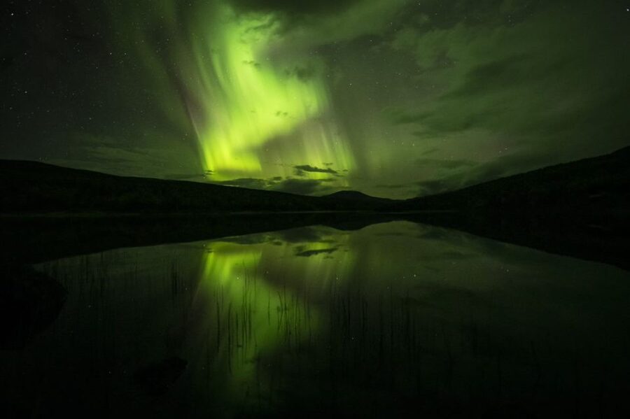From Tromsø: Northern Lights Cruise on a Cozy Vintage Vessel - Is $100 a fair price?