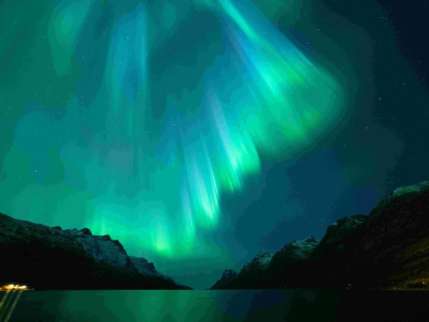 From Tromsø: Northern Lights Cruise on a Cozy Vintage Vessel - Who will enjoy this cruise most?