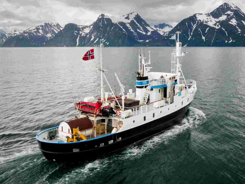 From Tromsø: Northern Lights Cruise on a Cozy Vintage Vessel - Searching the fjord for the aurora