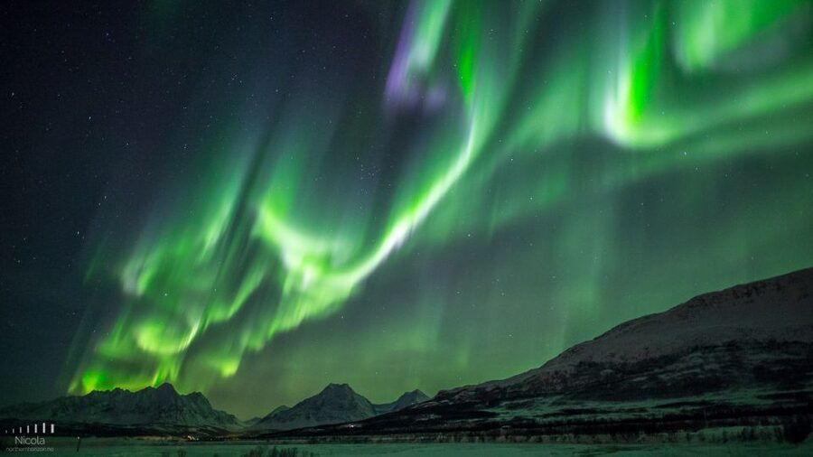 From Tromsø: Northern Lights Tour - Key details before you book