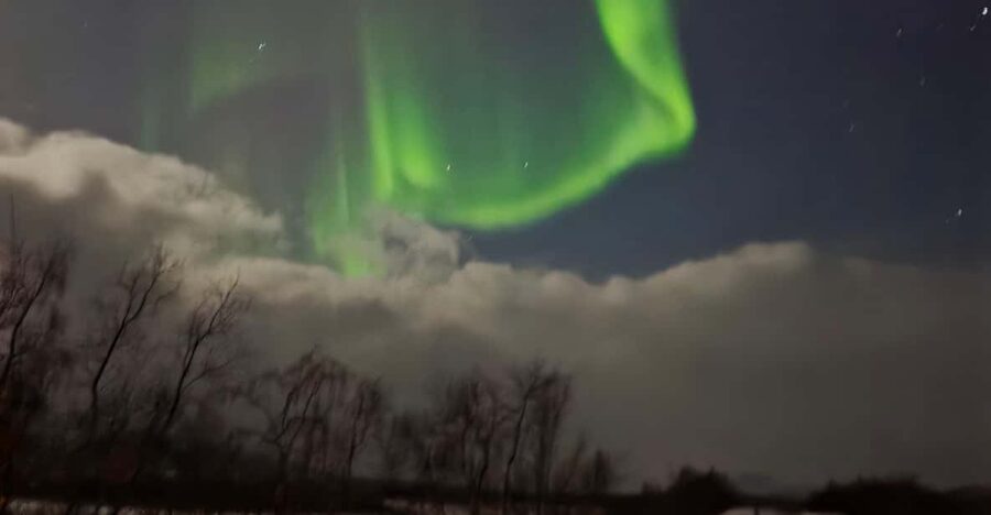 From Tromsø: Northern Lights Tour - The long road toward clearer skies
