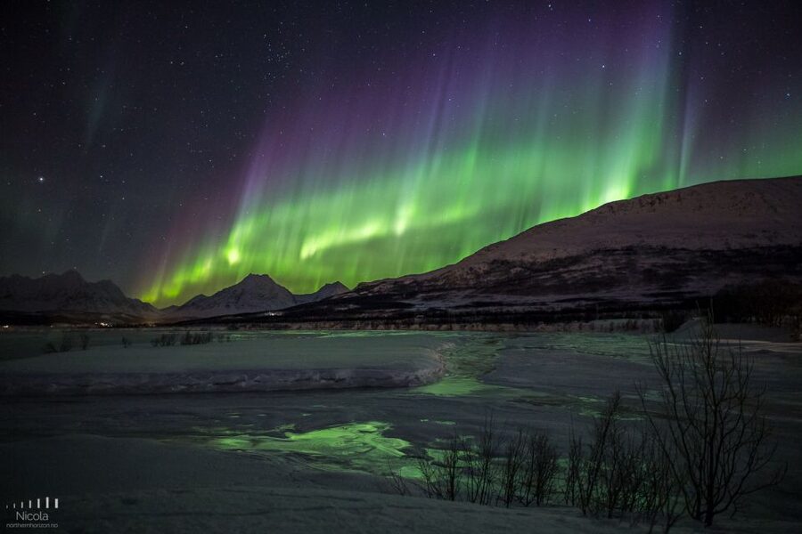 From Tromsø: Northern Lights Tour - What the $235 price includes