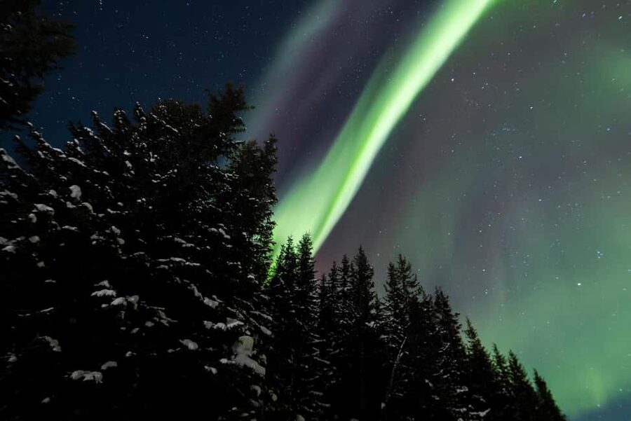 From Tromsø: Northern Lights Visit at Camp Tamok - Is $250 a fair price?