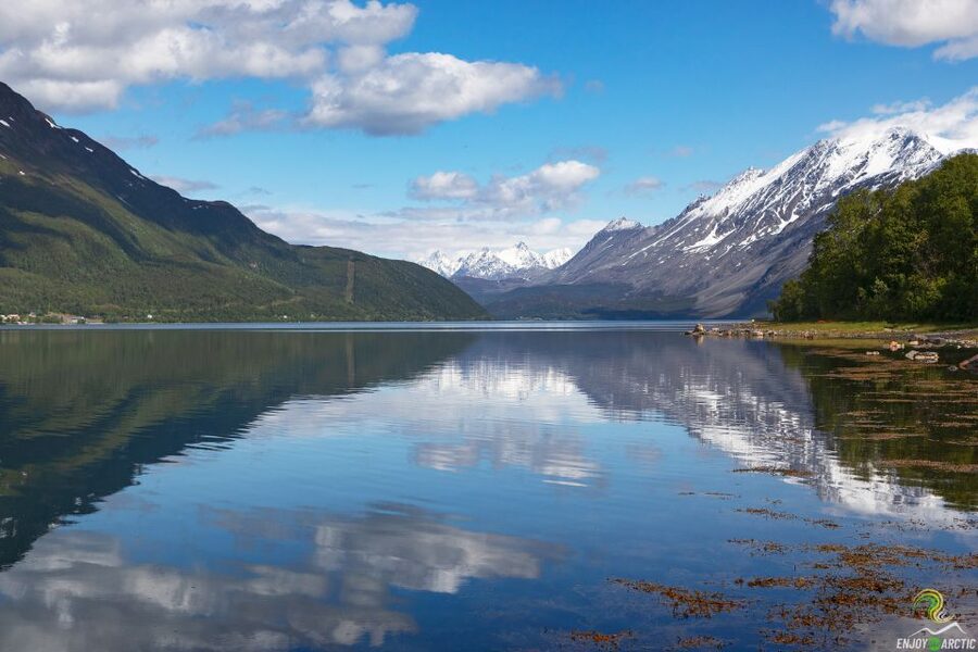 From Tromso: Norwegian Fjords Half-Day Tour - Why Kvaløya makes a strong half-day from Tromsø