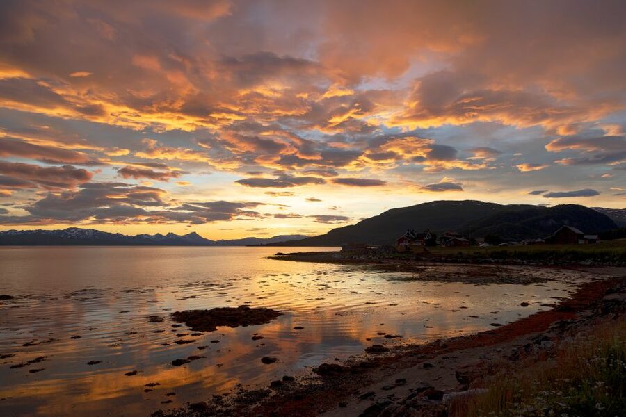 From Tromso: Norwegian Fjords Half-Day Tour - The picnic: cake, coffee, and a useful break from the cold