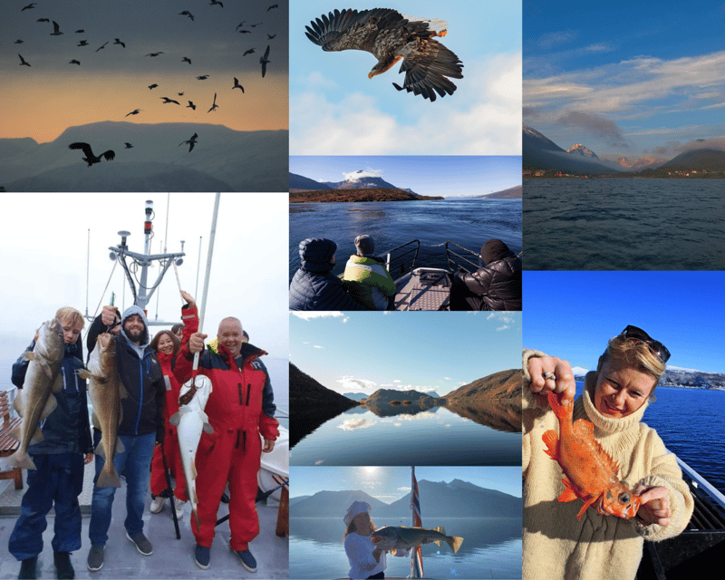 From Tromso: Polar Fishing Adventure - Key points at a glance