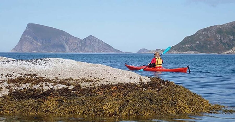 From Tromsø: Sea Kayaking Tour at Sommarøy with Transfer - Who Will Enjoy This Kayak Trip?