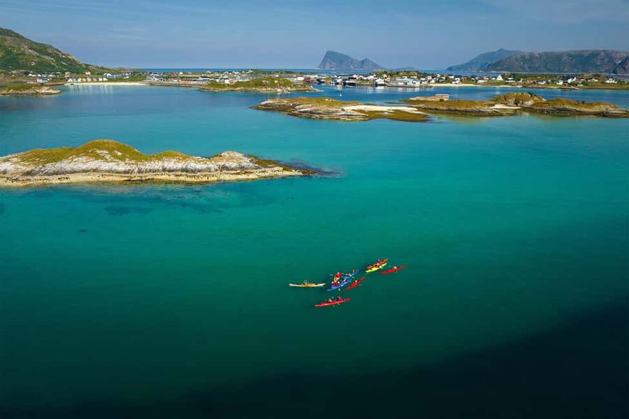 From Tromsø: Sea Kayaking Tour at Sommarøy with Transfer - Wildlife Along the Sommarøy Shore
