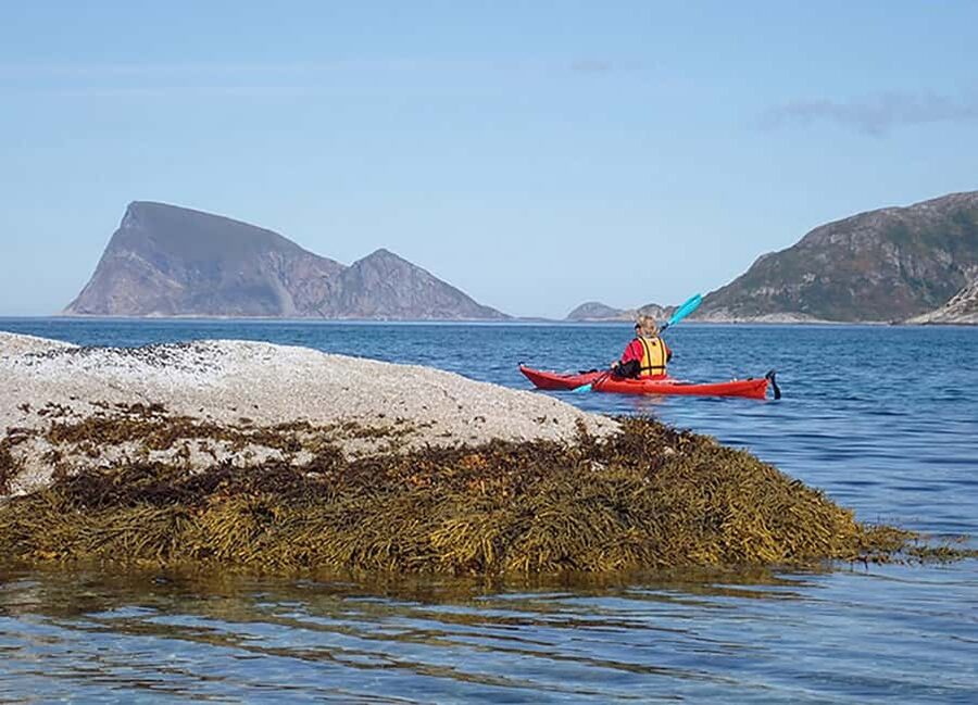 From Tromsø: Sea Kayaking Tour at Sommarøy with Transfer - Weather, Age Limits, and What to Bring