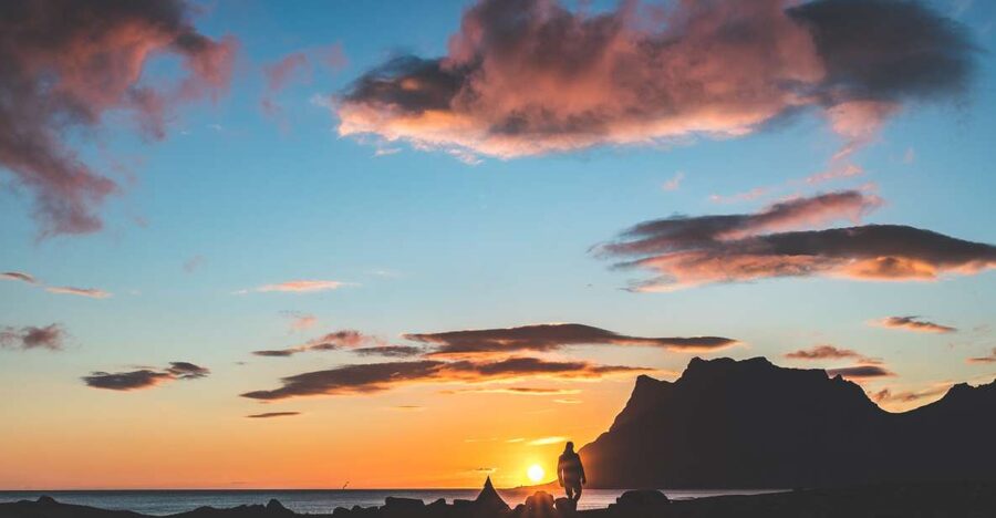 From Tromsø: Senja and Kvaløya Arctic Day Trip with Lunch - Key points to know before booking