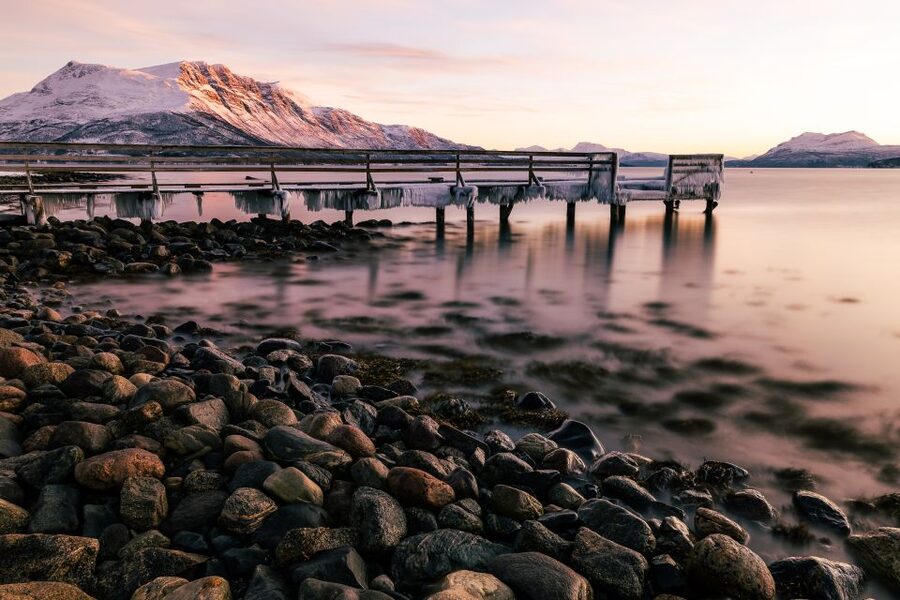 From Tromsø: Senja and Kvaløya Arctic Day Trip with Lunch - Wildlife and the changing Arctic weather