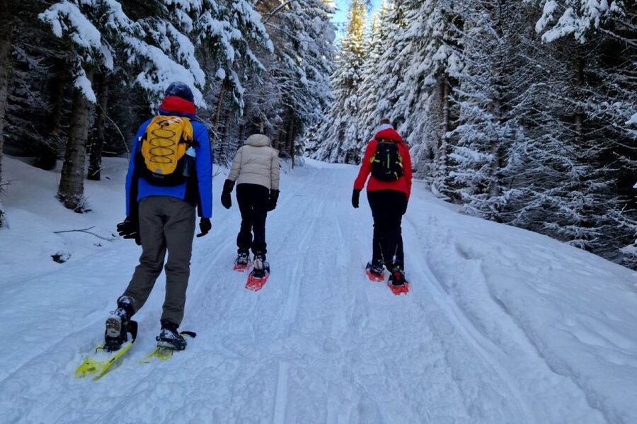 From Tromsø: Snowshoe Hike in the Arctic - Key points to know before you book