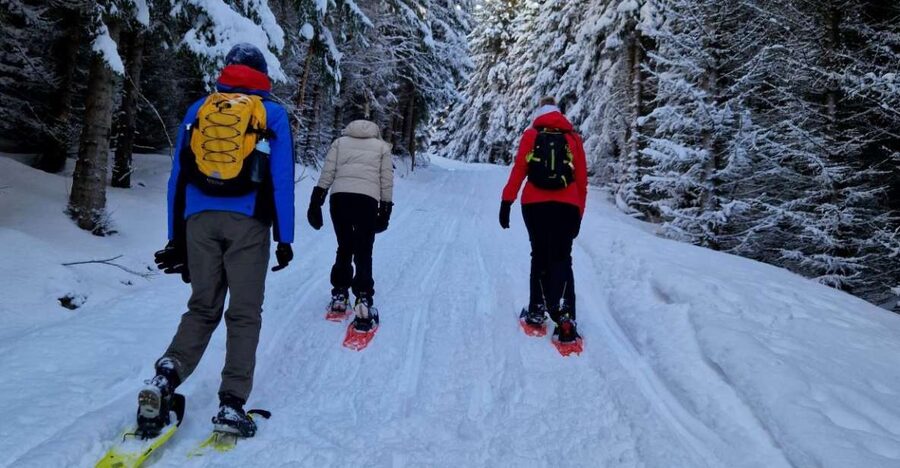 From Tromsø: Snowshoe Hike in the Arctic - Fjords, snowy peaks, and changing Arctic light
