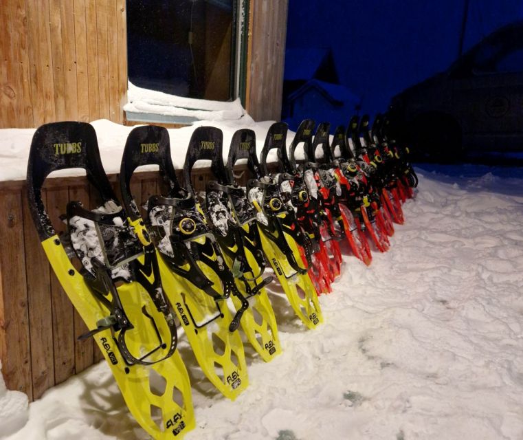 From Tromsø: Snowshoe Hike in the Arctic - Hot chocolate, snacks, and the playful way down