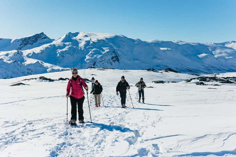 From Tromsø: Snowshoeing Hike with Picnic Lunch and Photos - Quick reasons to consider this Tromsø snowshoe hike