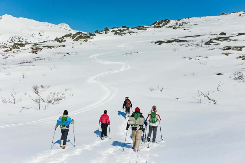 From Tromsø: Snowshoeing Hike with Picnic Lunch and Photos - Photos from the guide