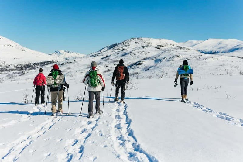 From Tromsø: Snowshoeing Hike with Picnic Lunch and Photos - What the $152 price includes