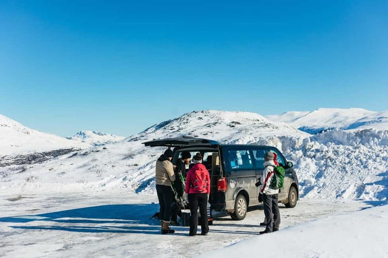 From Tromsø: Snowshoeing Hike with Picnic Lunch and Photos - Who should book this outing