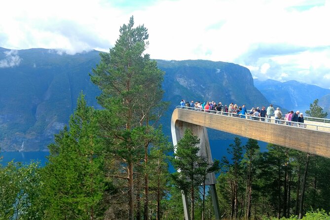 Full Day Private Tour to Flam with Pick Up - The Private Drive Back to Bergen