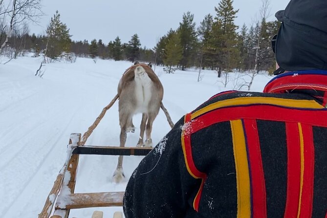 Full-Day Reindeer Tour with Pickup in Kiruna - Getting warm before meeting the reindeer