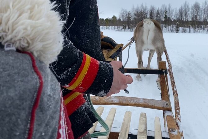 Full-Day Reindeer Tour with Pickup in Kiruna - Learning about Sámi life from the herders