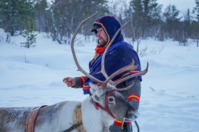 Full-Day Reindeer Tour with Pickup in Kiruna - Is $309.21 a fair price?