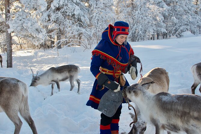 Full-Day Reindeer Tour with Pickup in Kiruna - Leaving Kiruna at 8:30 in the morning