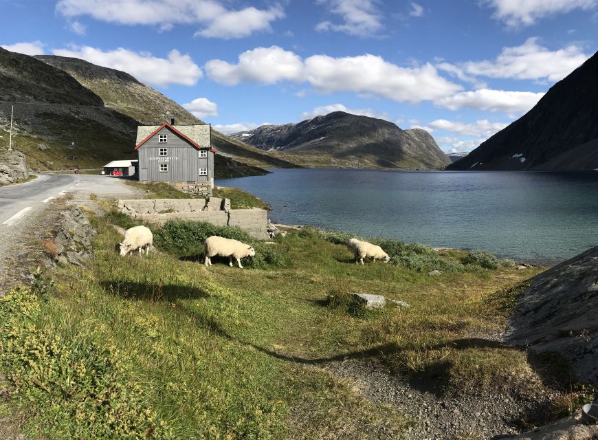 Geiranger: Dalsnibba, Flydalsjuvet, Eagle Bend & Fjords Tour - Djupvatnet Lake adds a quieter mountain stop