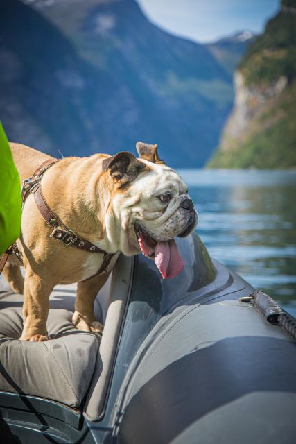 Geiranger: Guided Geirangerfjord Boat Tour - Friaren and the stories written into the cliffs